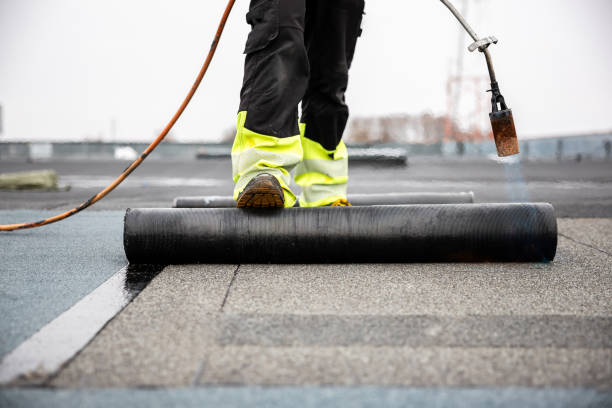 Best Roof Maintenance and Cleaning  in Holiday Valley, OH